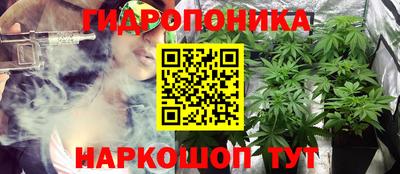 эйфоретик Моздок