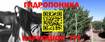mix Можга