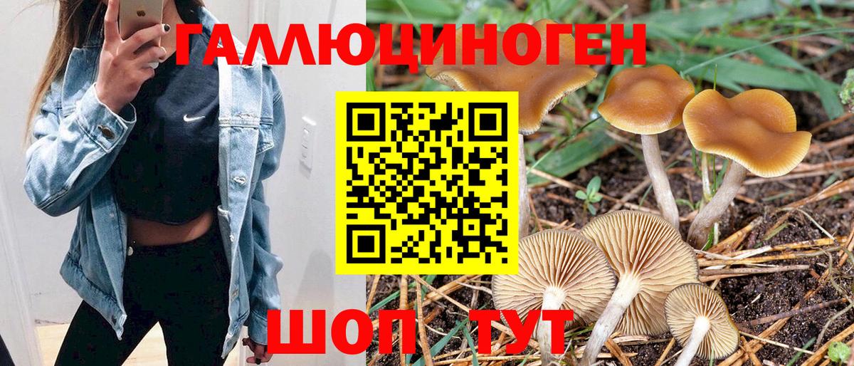 Урюпинск  Галлюциногенные грибы Cubensis  Вход с VPN  Псилоцибиновые грибы Psilocybe 