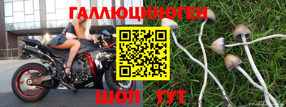 Псилоцибиновые грибы Magic Shrooms Урюпинск