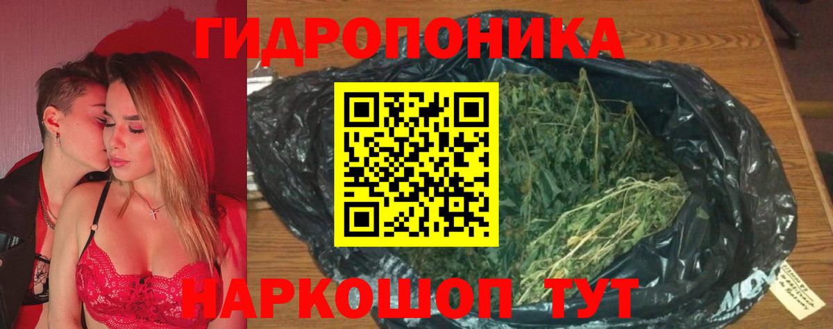 Бошки Шишки марихуана  Марихуана планчик  Вход с VPN  Урюпинск 